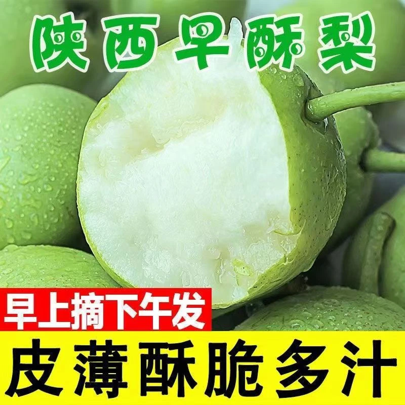 现摘陕西早酥梨新鲜应季时令整箱2-8斤青皮水晶梨子孕妇水果批发