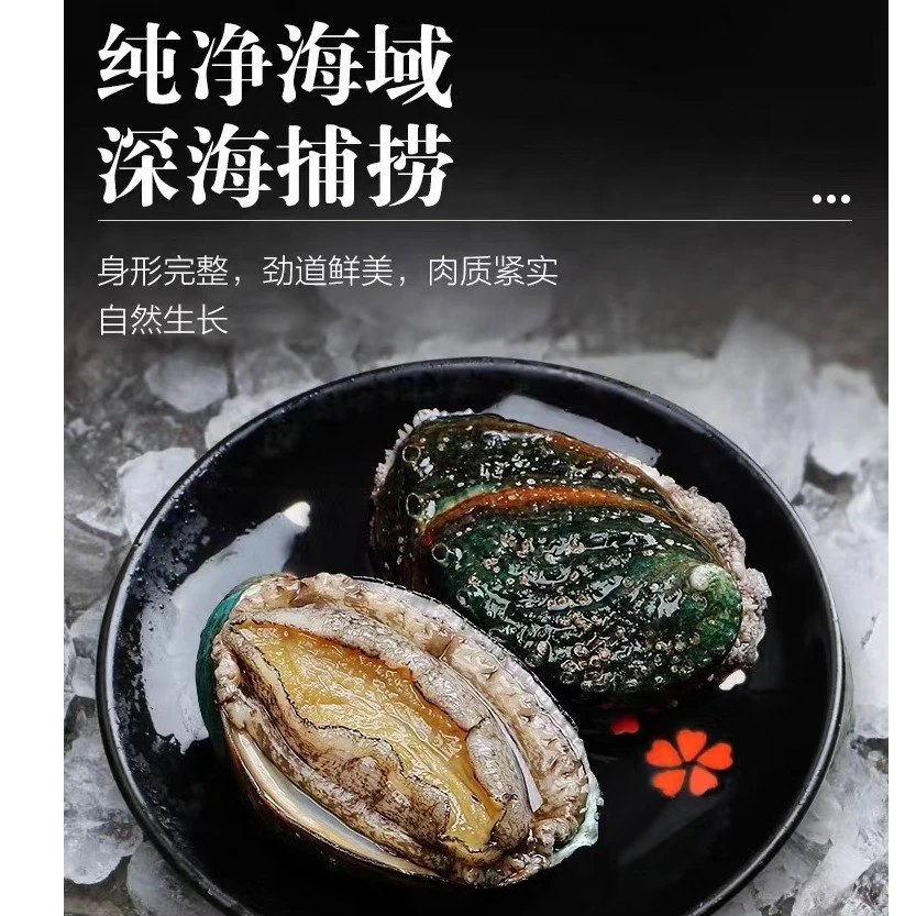 生猛海鲜6头大鲍鱼（个）