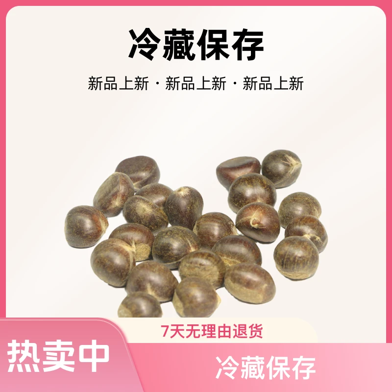 天星佶栗批发 湖南贵州广西 浙江野生毛板红板栗开口