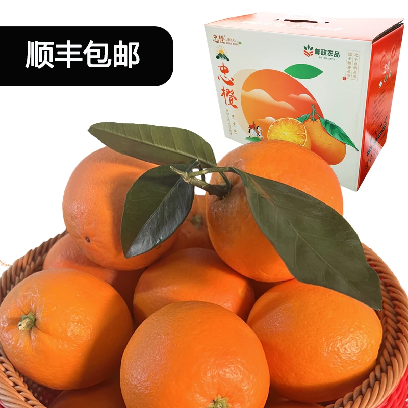 【十斤装礼盒顺丰】高山纽荷尔脐橙现摘现发手剥橙送礼佳品年货福利