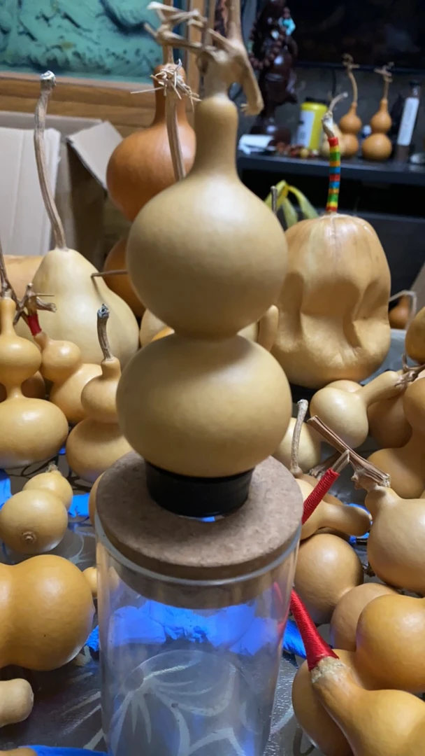 葫芦一把抓厚皮响籽