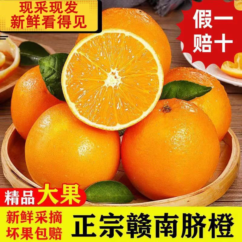正宗江西赣南脐橙现摘现发榨汁橙子脐橙新鲜应季水果整箱产地直发