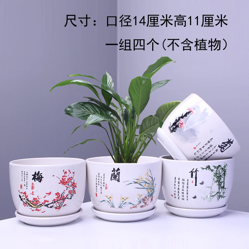 珍珍家，陶瓷花盆，多种花花可用。