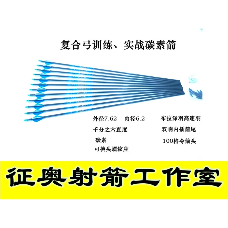 征奥射箭出品复合弓训练实战碳素箭布拉泽羽双响内插箭尾千分之六