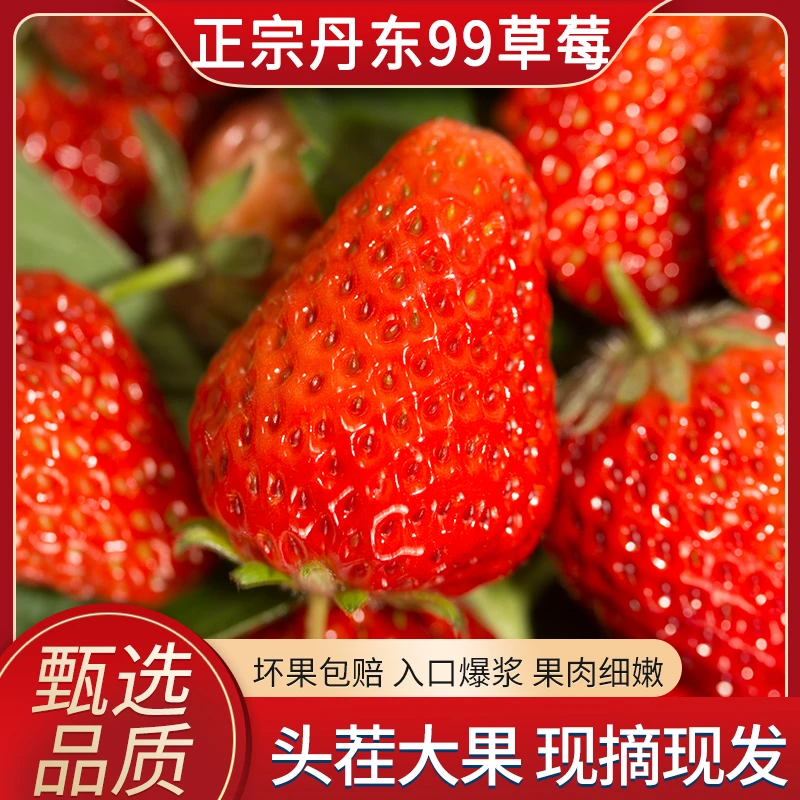 【顺丰空运】正宗丹东九九大草莓99草莓新鲜红颜奶油香甜草莓1斤起