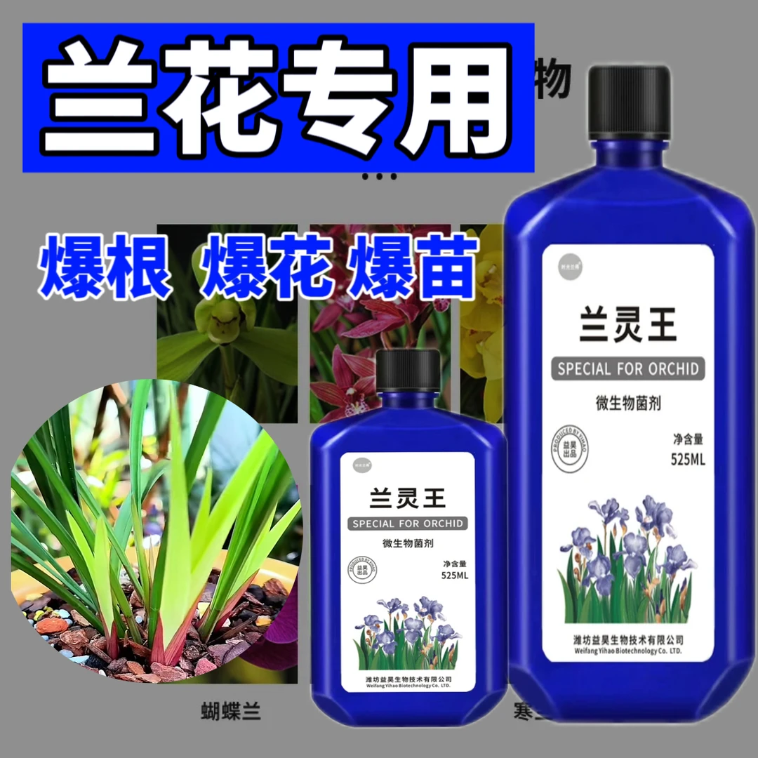 【兰灵王】兰花专用营养液兰草花液体肥料微生物菌剂黄腐酸钾植物