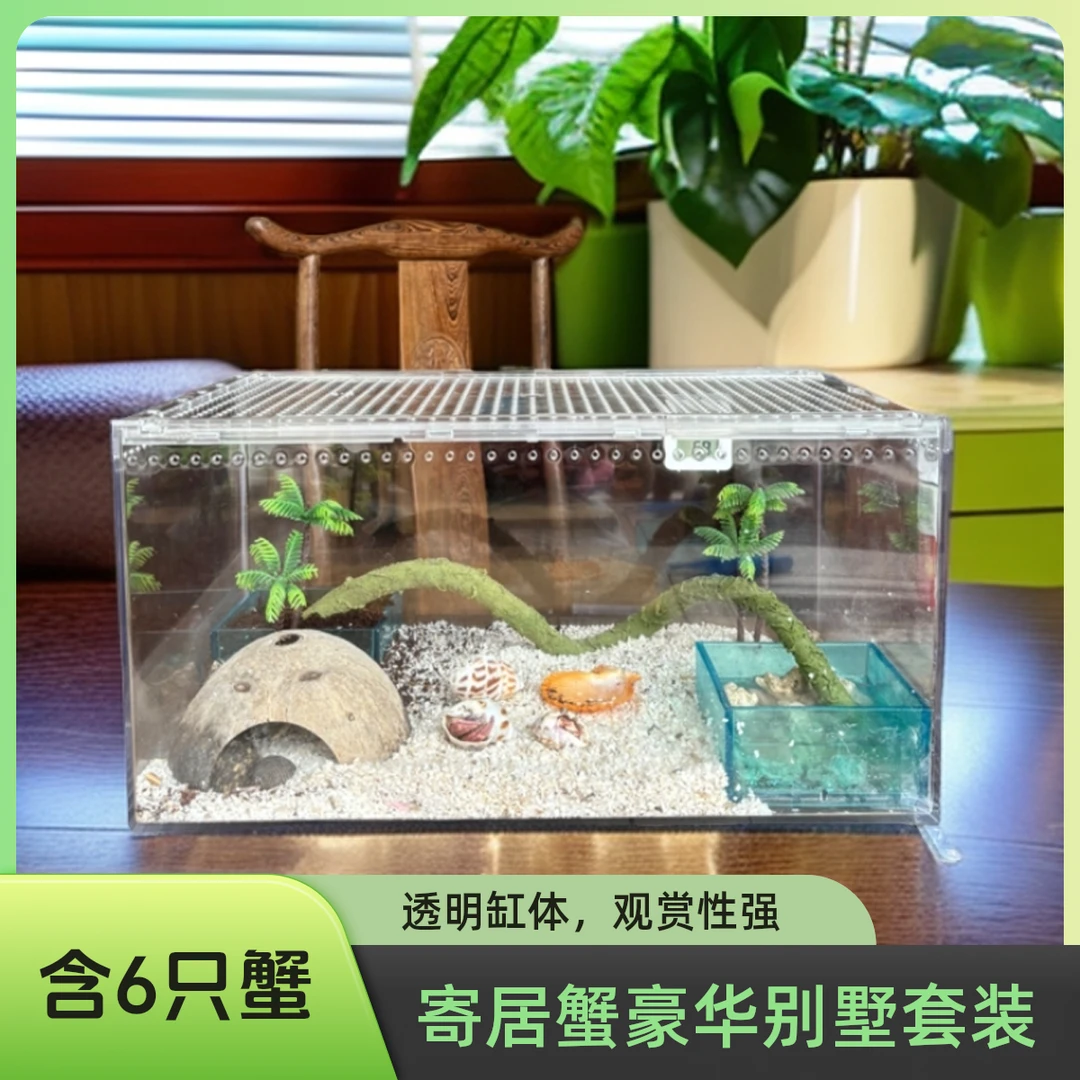 寄居蟹豪华高透一体式饲养箱 不漏沙亚克力箱饲养套装