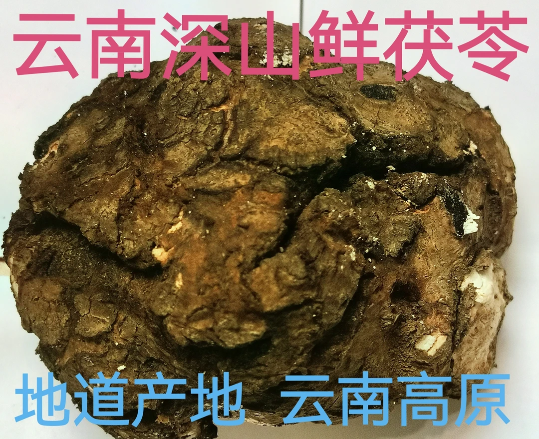新鲜茯苓个子煮水喝熬粥炖汤3斤至20斤