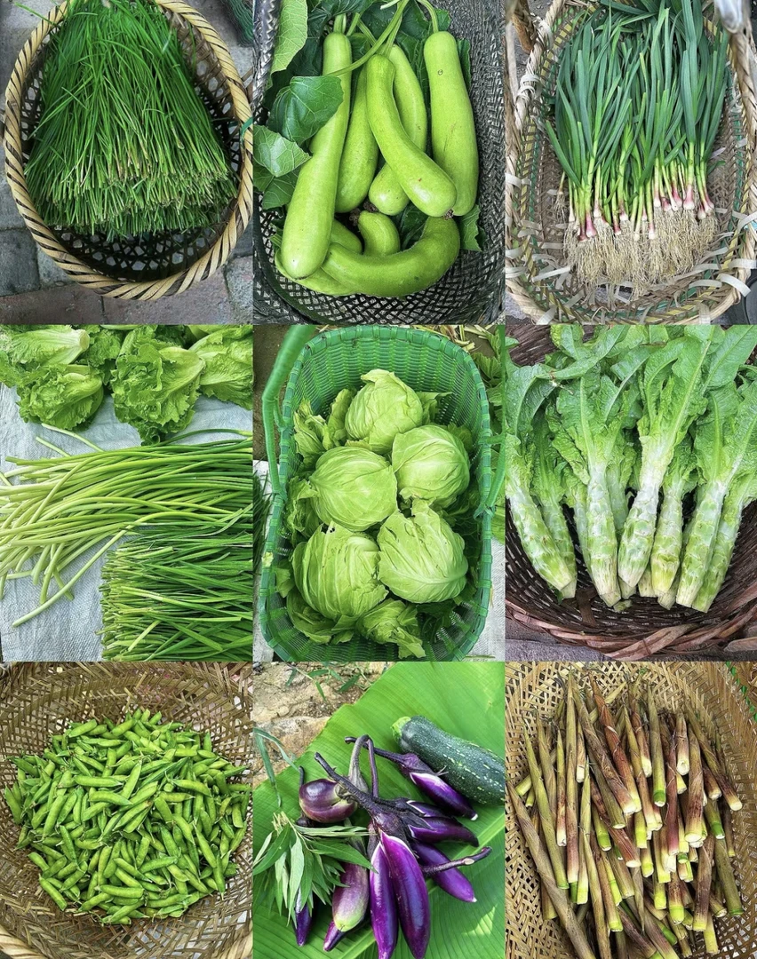 2号赶集链接（干货肉类）不支持无理由退货