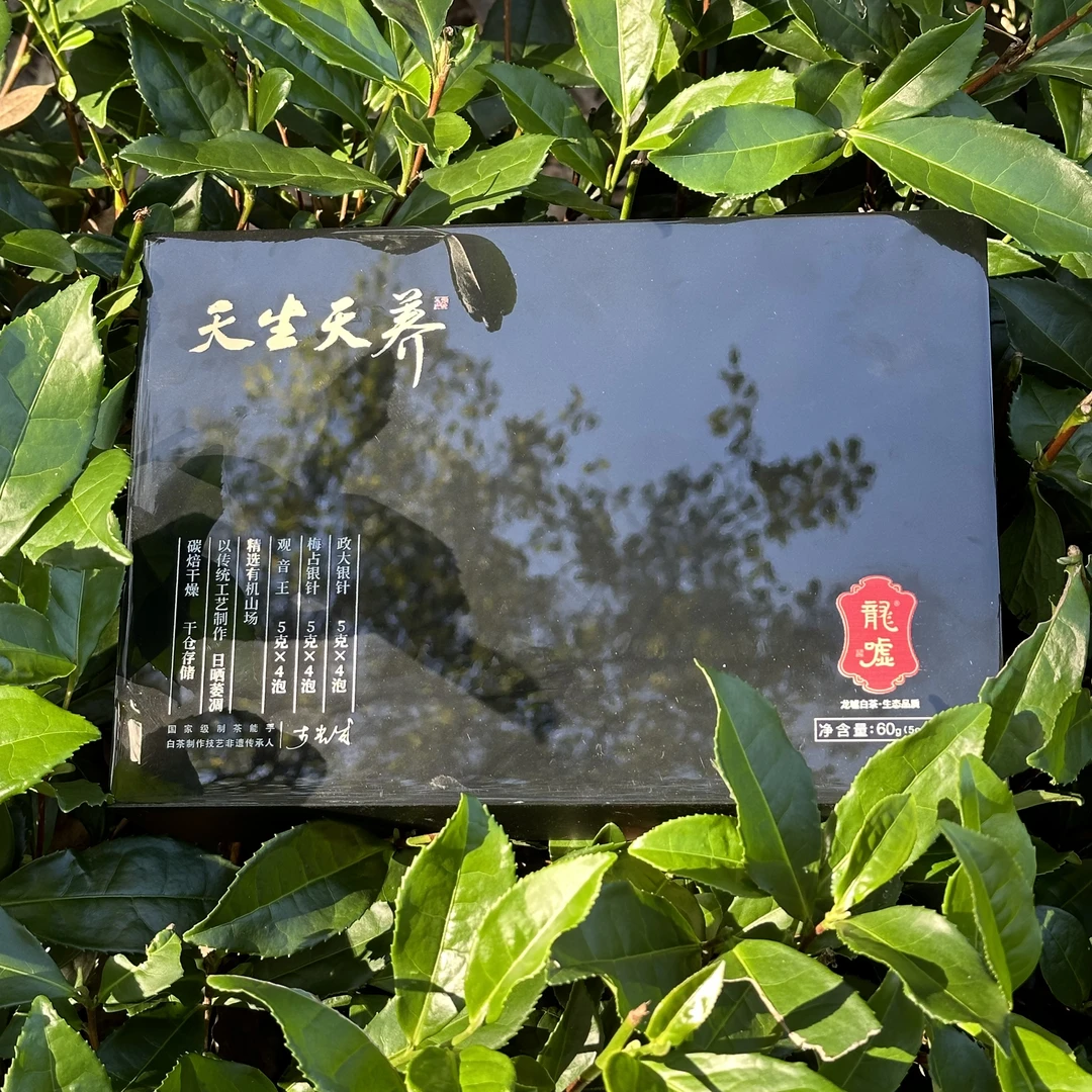【茶江湖】龙嘘2020年天生天养有机特级白茶60g