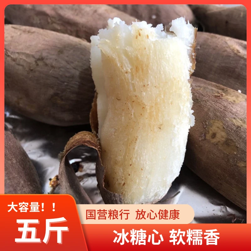 兰考白心薯粉糯香甜干面精美礼盒2.5kg装（白心）