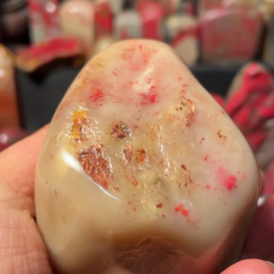 【闪购商品】昌化石斑*线243