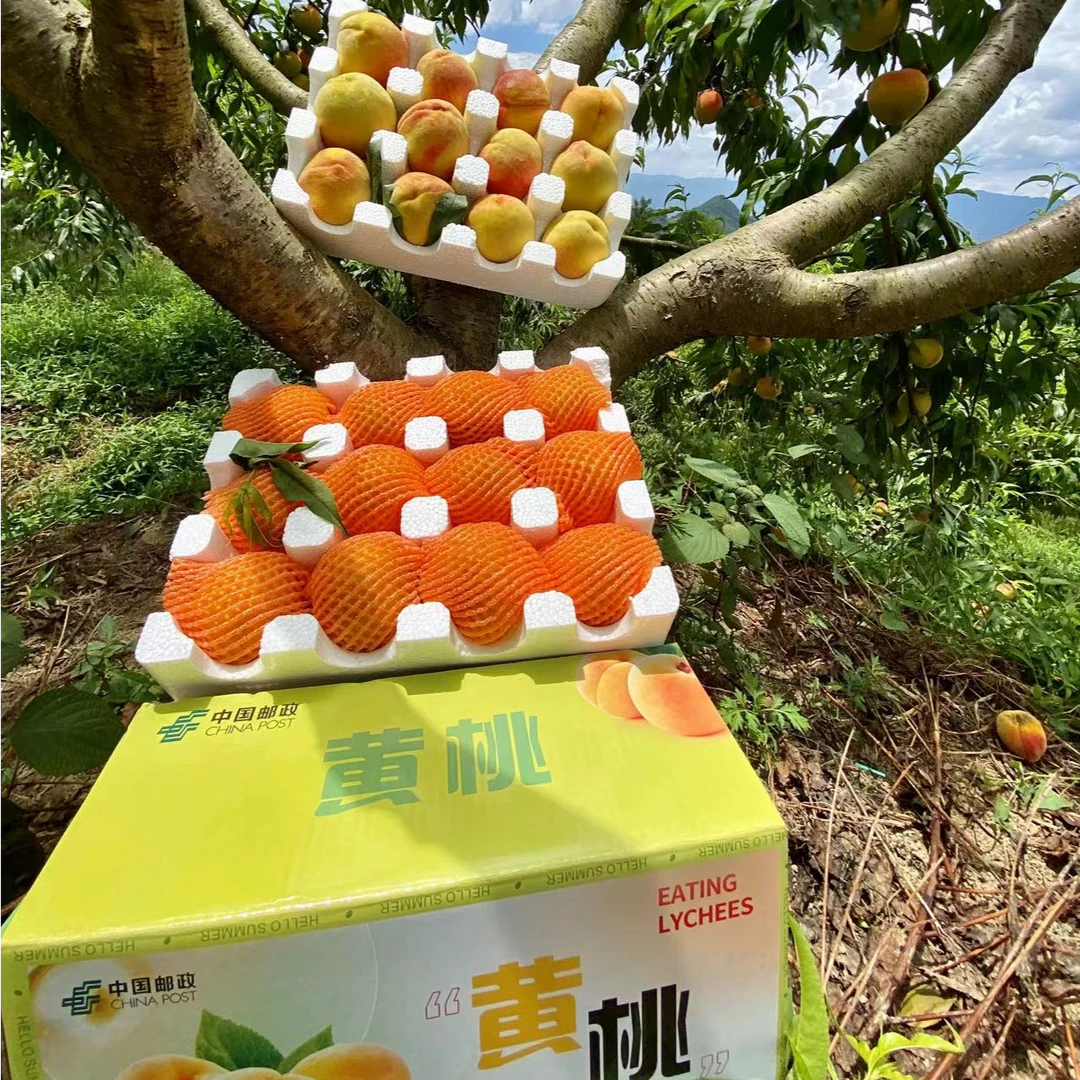 黄桃新鲜水果重庆开州锦绣黄金蜜桃当季时令黄毛桃夏季整箱大桃子
