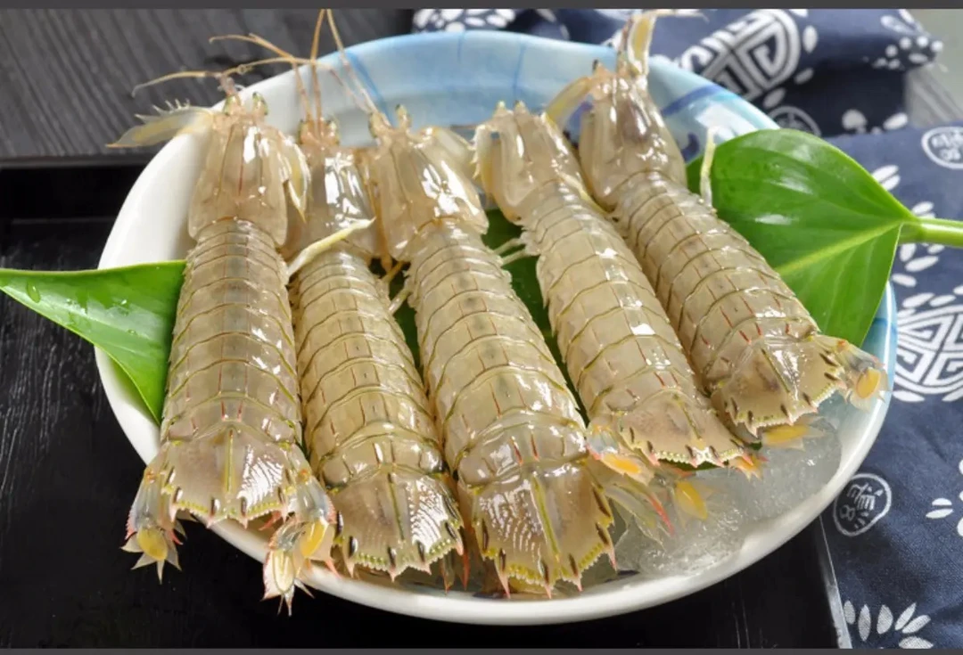 【活鲜】广西北海北部湾野生皮皮虾四斤起 码头顺丰直发