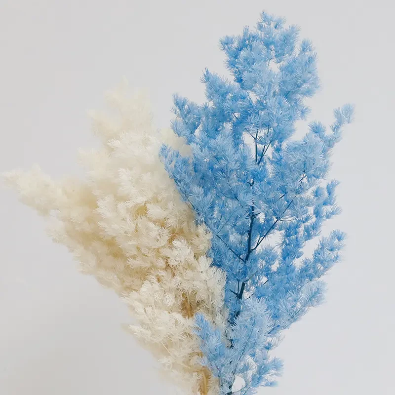 永生花蓬莱松云南工厂批发花店手工真花花材保鲜花装饰多种插花