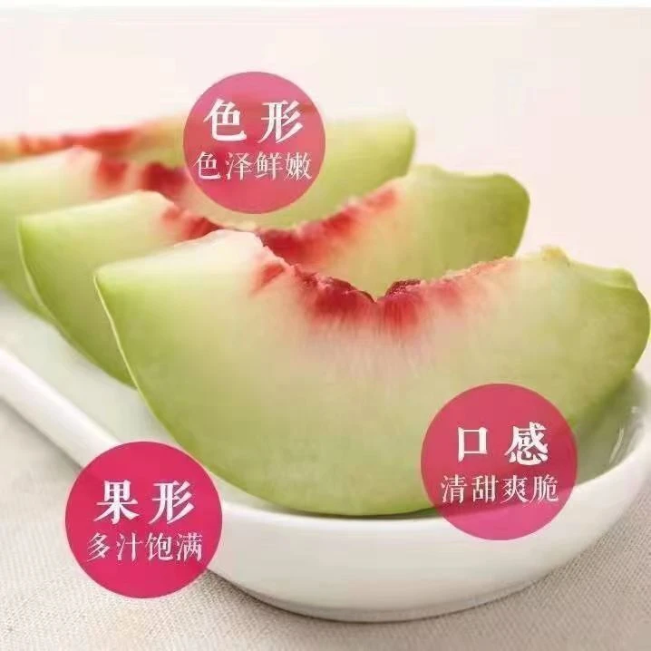 山东青州蜜桃新鲜水果香甜可口2500g整箱包邮饱满清香细嫩多汁