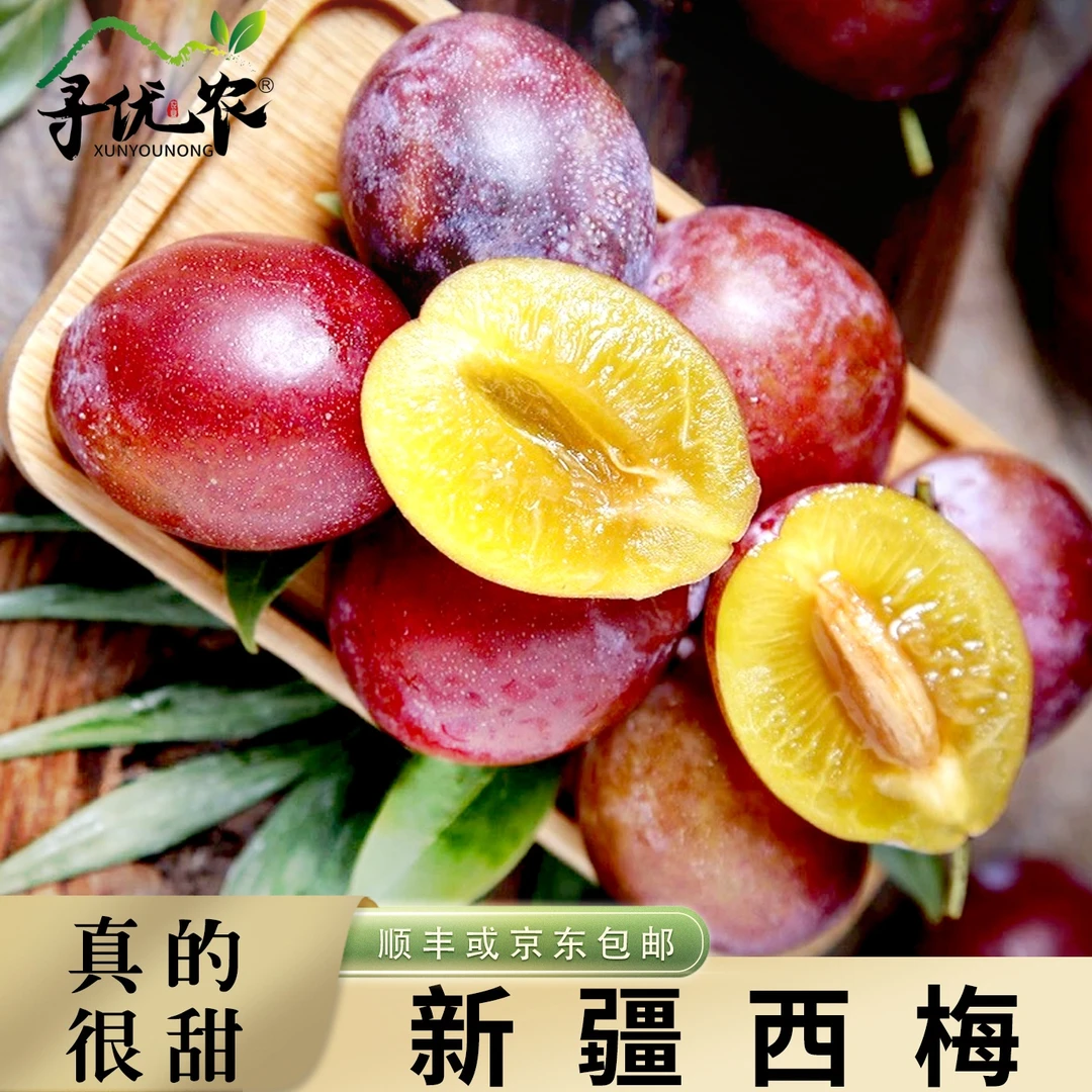 【寻优农】3斤正宗新疆西梅新鲜爆甜多汁皮薄肉厚江苏河北多仓发货