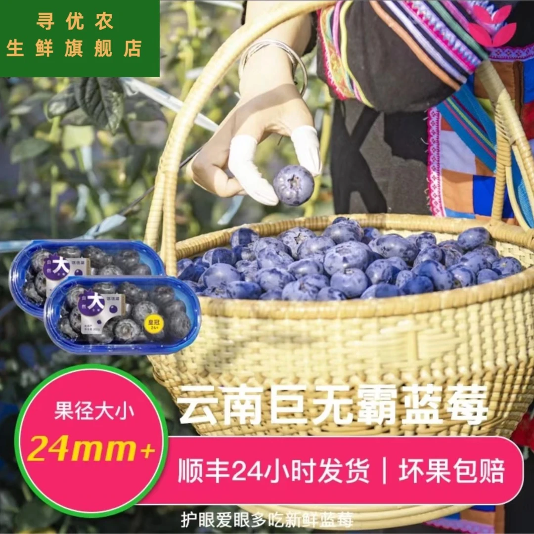【超大蓝莓】云南蓝莓超大果当季限定24mm+顺丰发货200g/盒