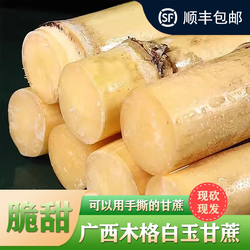 精选广西木格白玉甘蔗脆甜皮薄鲜嫩多汁产地当季新鲜现砍现发包邮