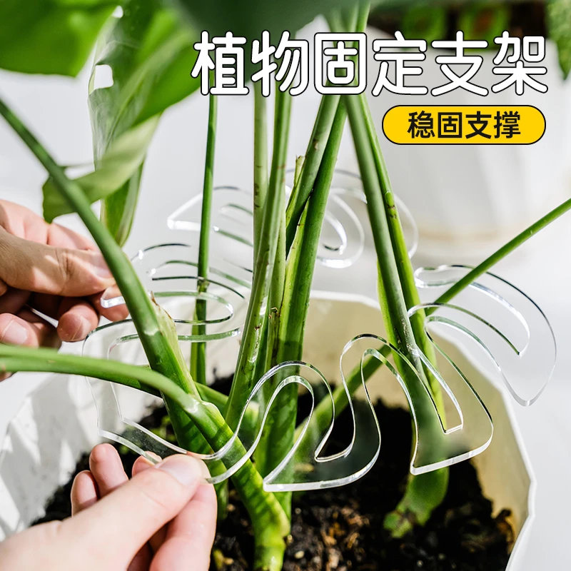 瑞普龟背竹支撑杆防倒伏支架水培植物固定器春雨花茎枝干收拢器