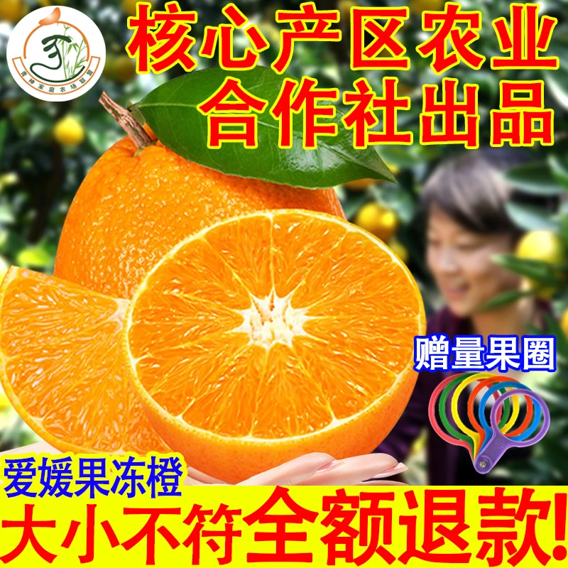 爱媛38号果冻橙新鲜水果现摘橙子手剥橙网红橙清甜多汁5/8斤包邮