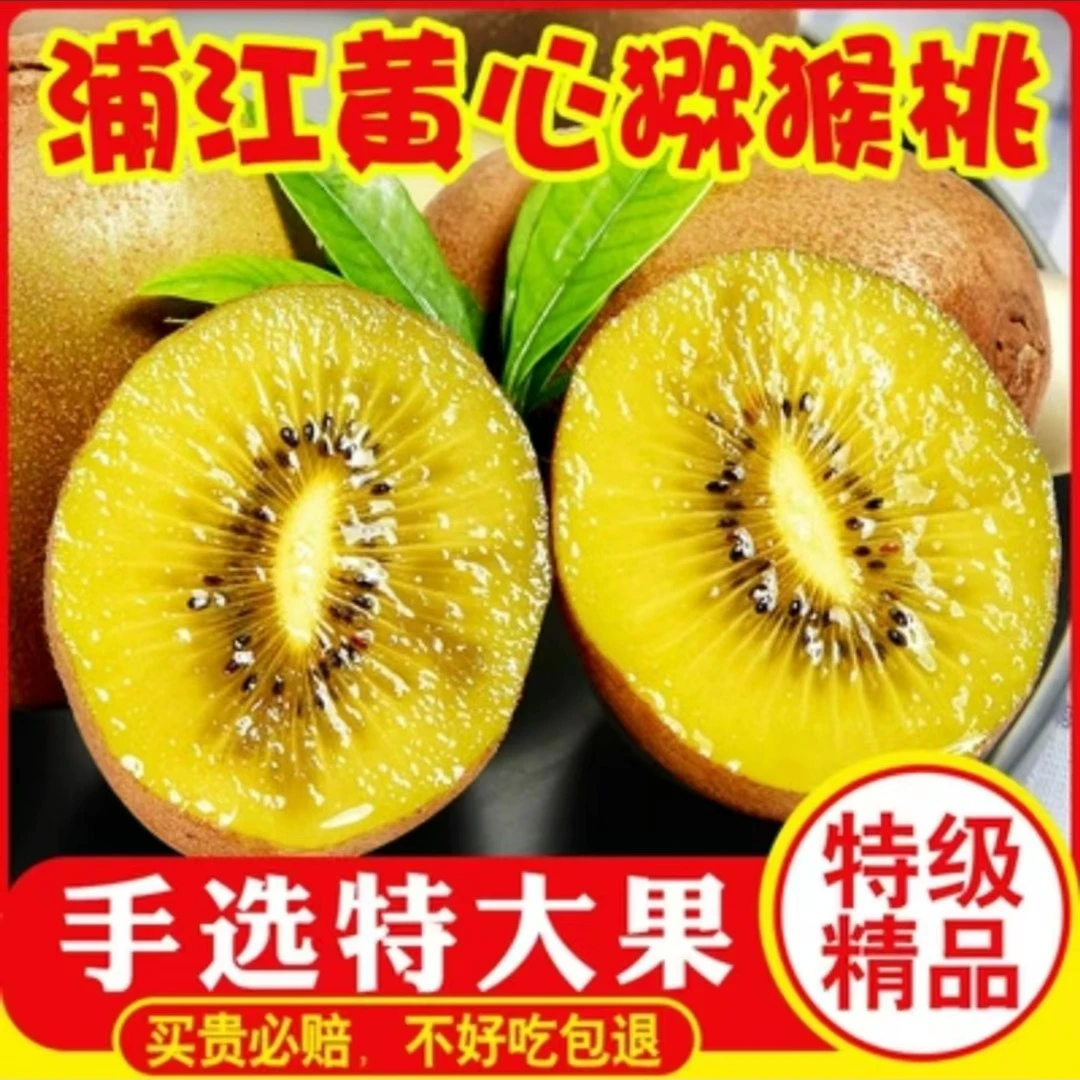 正综正宗四川蒲江黄心猕猴桃新鲜奇异果6-30粒 50-130g+当季水果