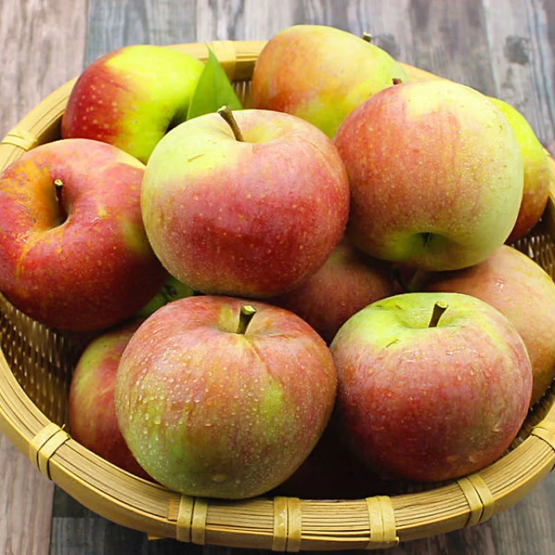 【东北苹果】辽宁特产新鲜国光苹果肉饱满瓦房店小果光酸甜多汁