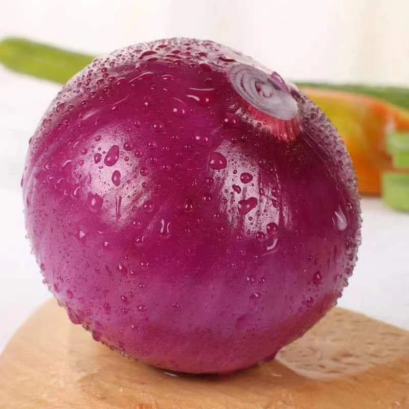 【东北农产品】辽宁紫皮洋葱新鲜清脆饱满圆葱头2斤起顺丰包邮