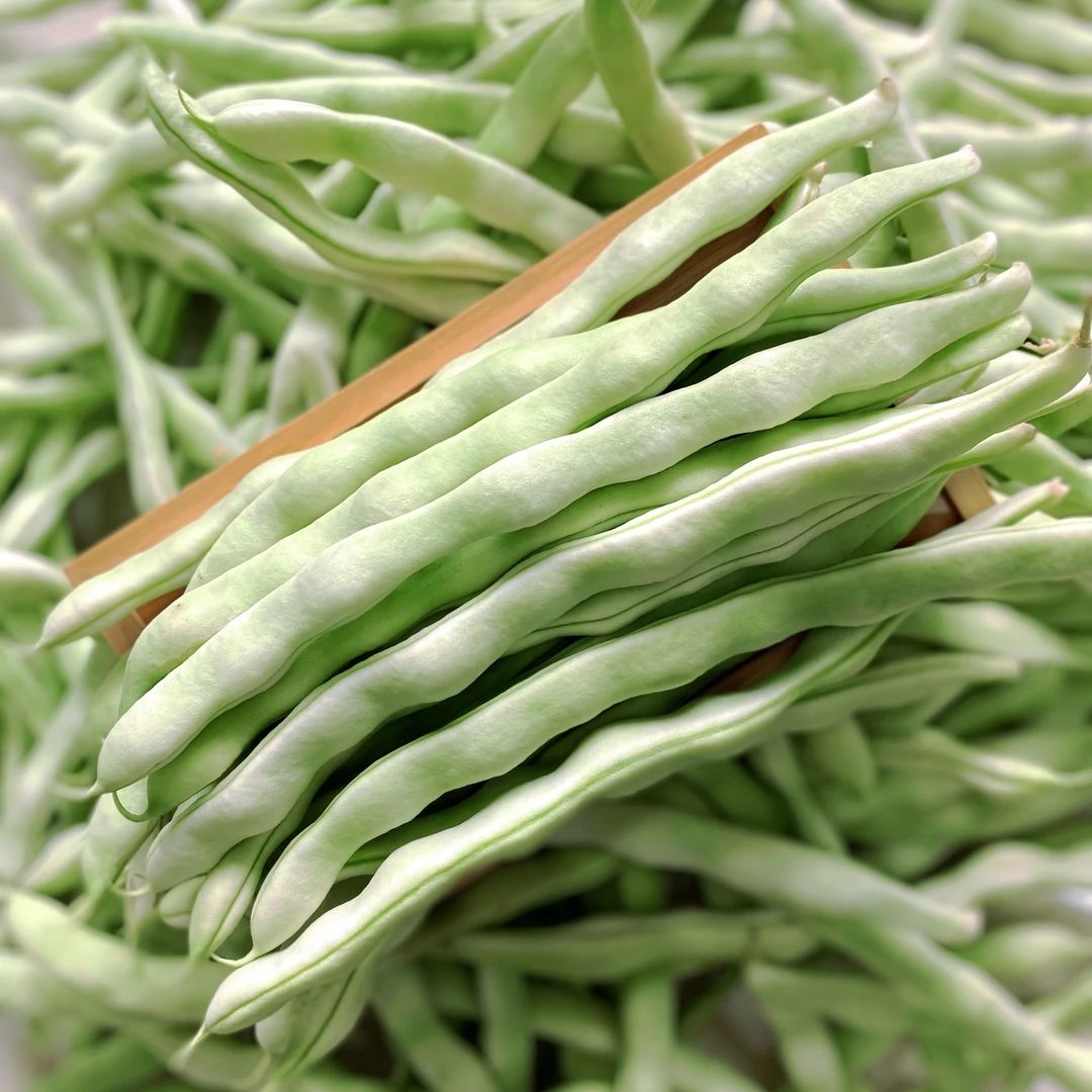 辽宁新鲜脆爽鲜嫩白不老豆角肉厚白芸豆油豆角2斤/3斤/5斤