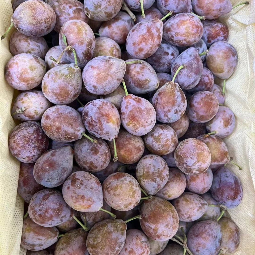 伽师西梅整箱原箱三斤以上