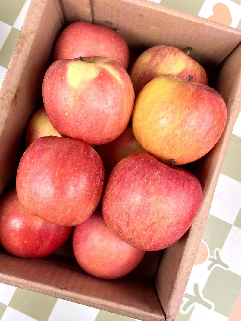 水果蔬菜 > 水果 > 苹果红富士苹果电商盒发货