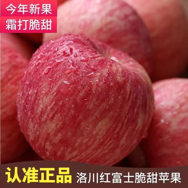 【福利买5斤送5斤】正宗洛川红富士苹果水果带箱5斤/10斤原产地脆甜