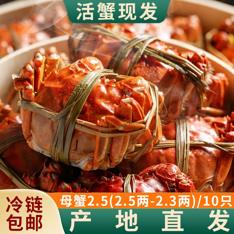 【活蟹】大闸蟹母2.5-2.3两10只装苏州精品蟹鲜活饱满冷链现发足重