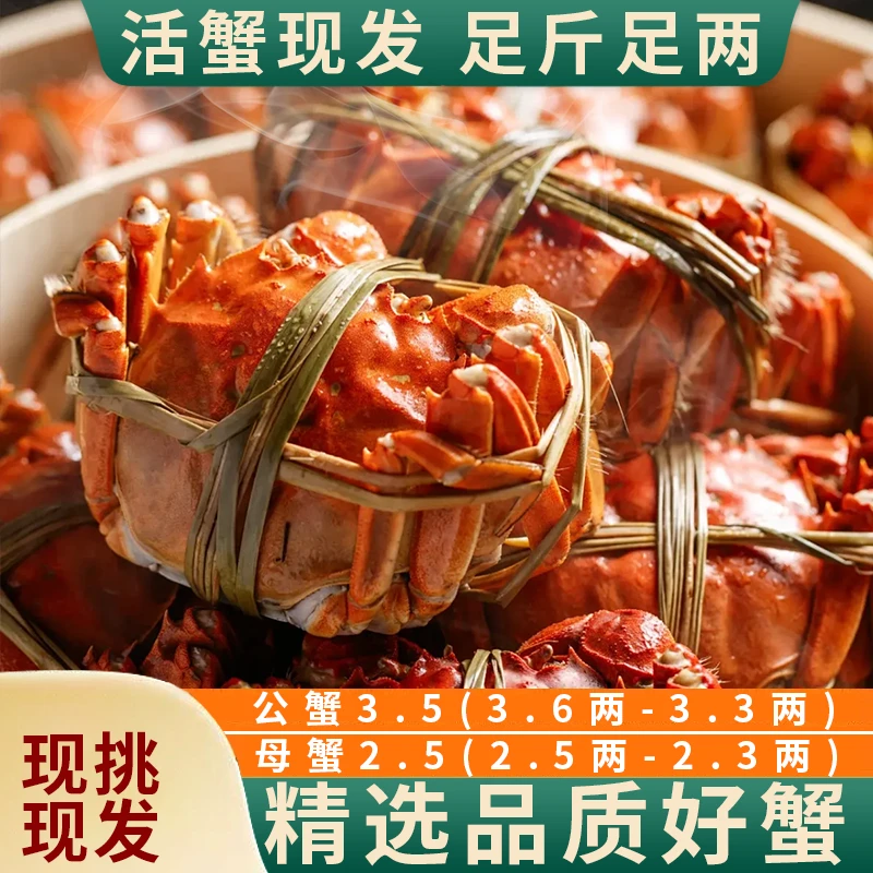 【活蟹】苏州精品大闸蟹公(3.6-3.3两)母(2.6-2.3两)8只/10只饱满活