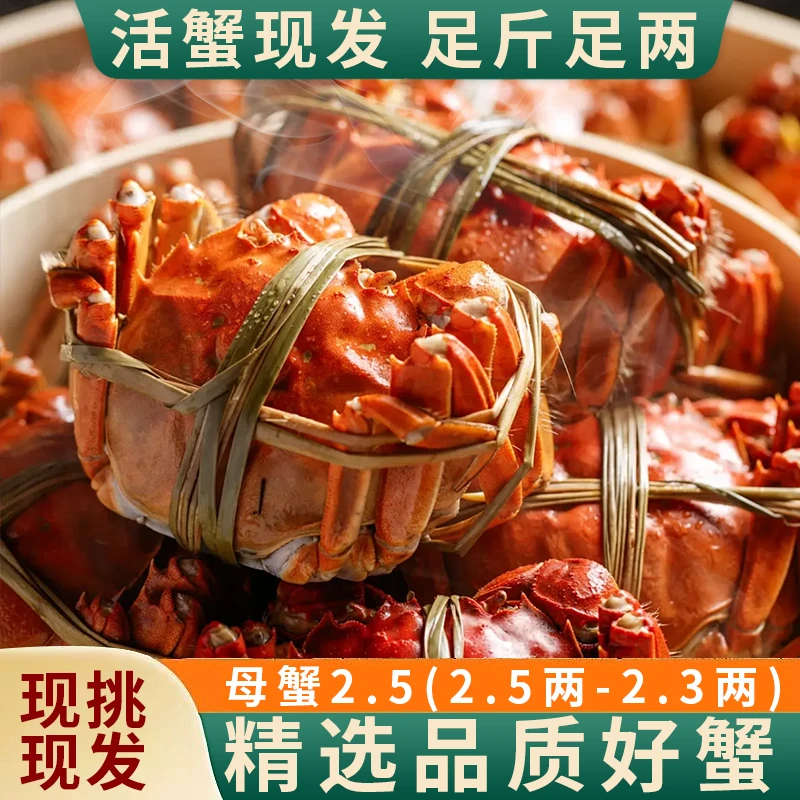 【活蟹】大闸蟹母2.5-2.3两(4/6/8)+2只苏州精品蟹礼盒鲜活饱满现发
