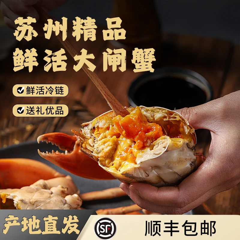 产地直发8只 4两公蟹4只 3两母蟹4只 批发新鲜苏州大闸蟹精选Zb