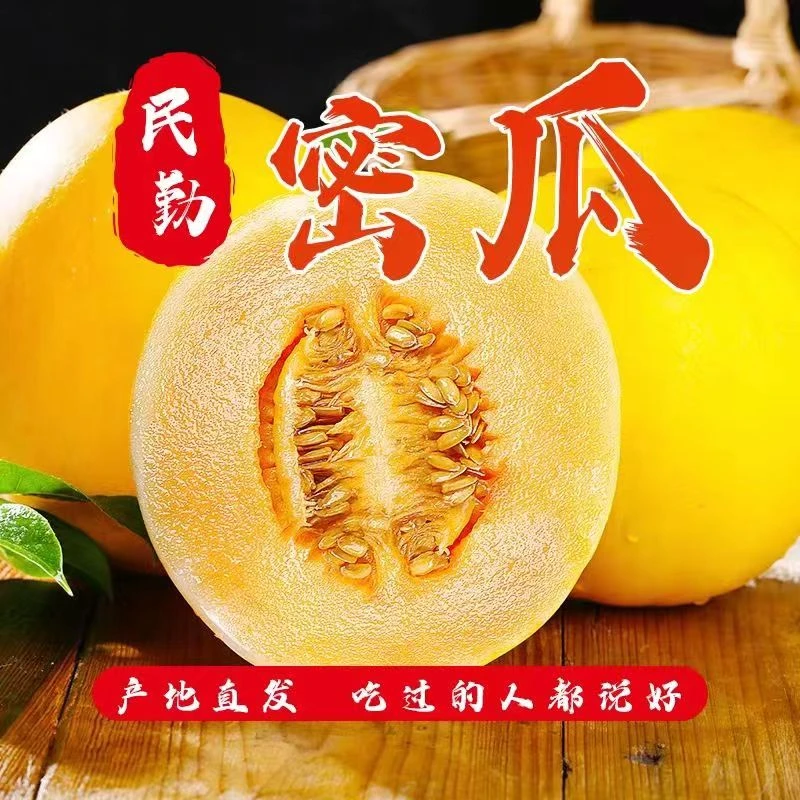 正宗甘肃民勤沙漠蜜瓜
