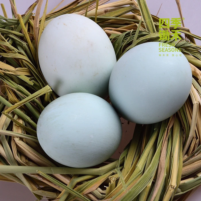 四季锄禾鸭蛋新鲜散养正宗散养鸭蛋（10个/盒）江浙沪皖满包邮