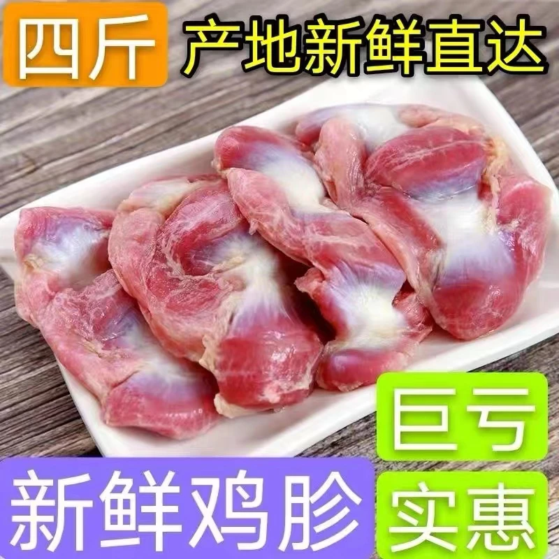 包邮新鲜鸡胗无小肠鸡胗冷冻鸡珍无水生鸡胗新鲜鸡胗鸡郡肝