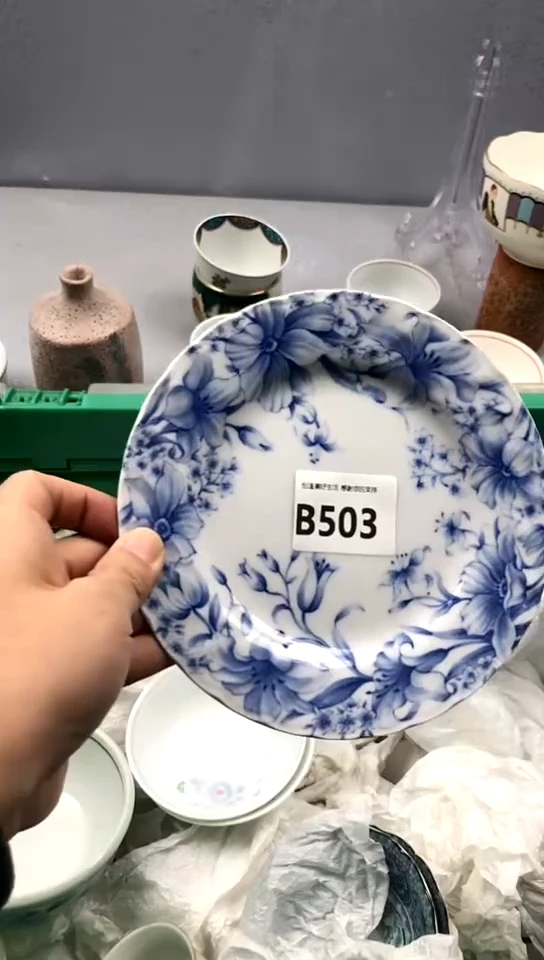【闪购商品】瓷片503精美瓷器感谢支持