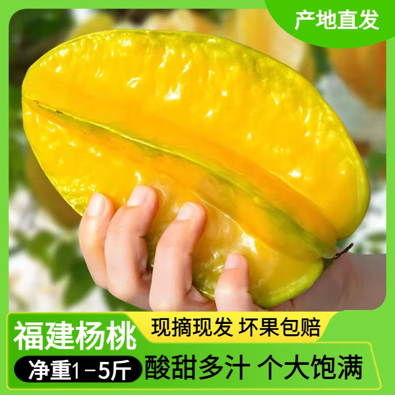 【宝藏小超市】现摘福建下河杨桃水果包邮新鲜1-4.5斤整箱产地直发