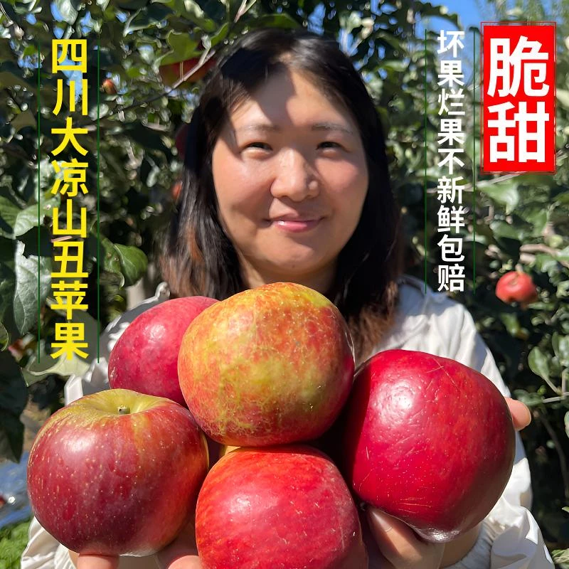 【脆甜香】四川大凉山高海拔丑苹果应季水果新鲜采摘多汁2/3/5/8斤