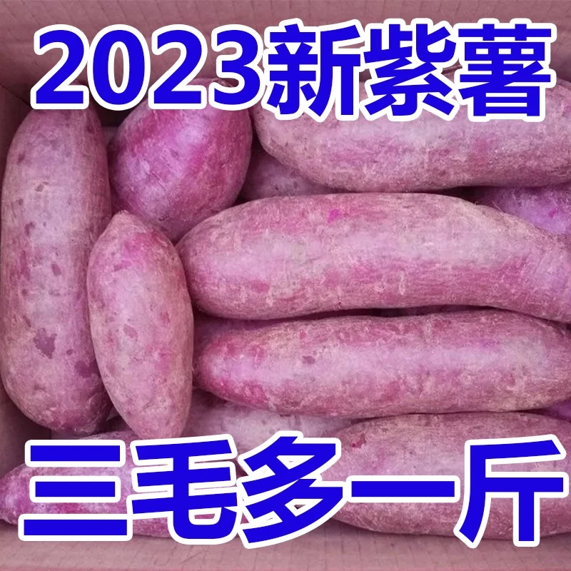 【新店抢购】新鲜紫罗兰紫薯1/9斤现挖沙地紫心蜜薯红薯地瓜烟薯