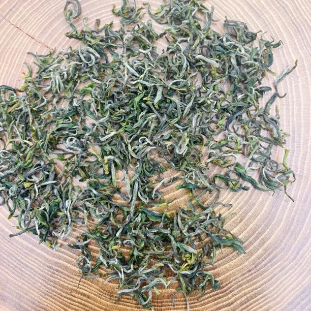 2024明前土种黄山毛峰