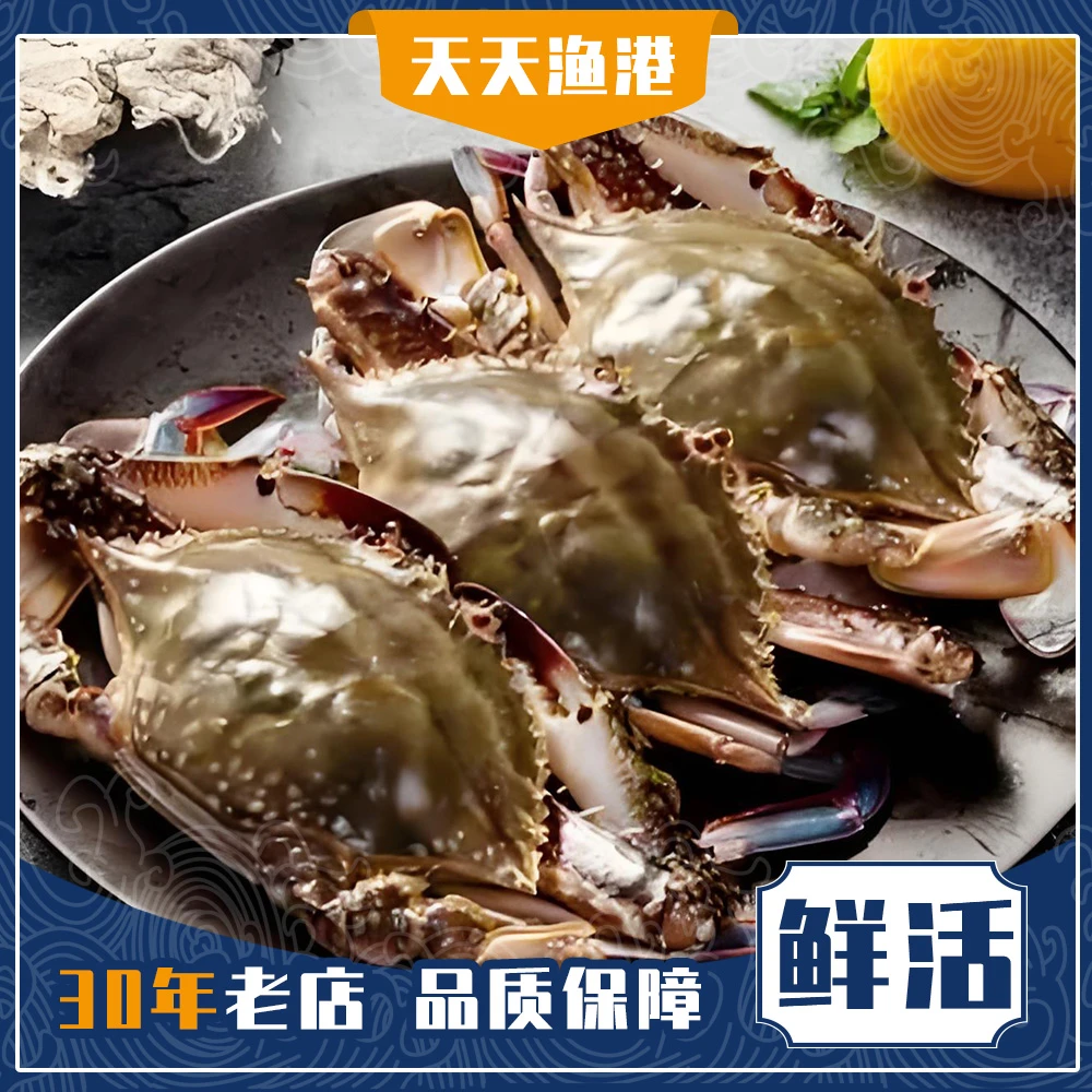 鲜活梭子蟹1只（3两/只）公蟹带象皮筋