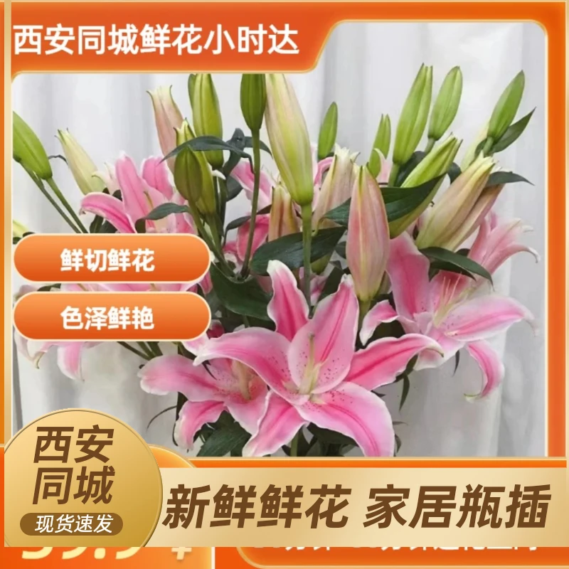 【同城外卖配送】3枝多头百合（生苞半开）颜色自选-生活鲜花家居花瓶插花