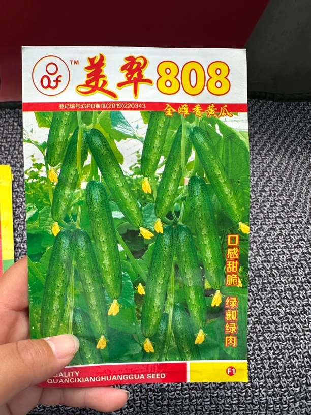 美脆808黄瓜种子