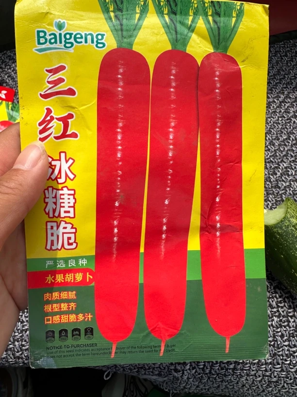 三红冰糖脆胡萝卜种子