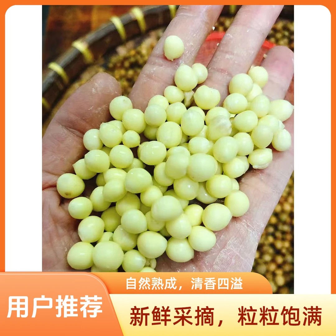 纯手工鲜芡实芡实鸡头米鸡头米芡实新鲜冷链包邮营养