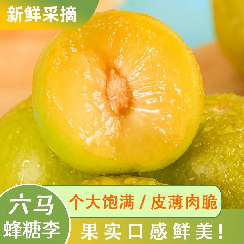 正宗贵州六马蜂糖李子新鲜水果当季新鲜整箱脱骨李子现摘现发包邮